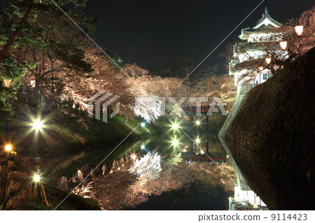 Hirosaki castle cherry blossoms light up Hirosaki castle cherry blossoms light up 9114423