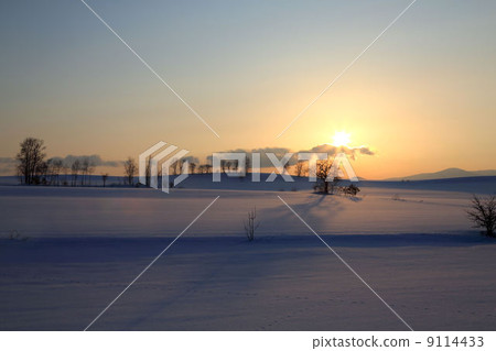 冬天的景色 冬天的景色 9114433