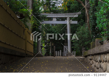 Shinto shrine torii 9114447