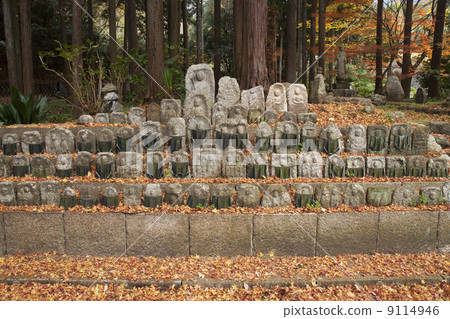 Kujyoji石佛組 9114946