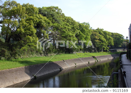 Kumamoto · Tsuboi River 9115169