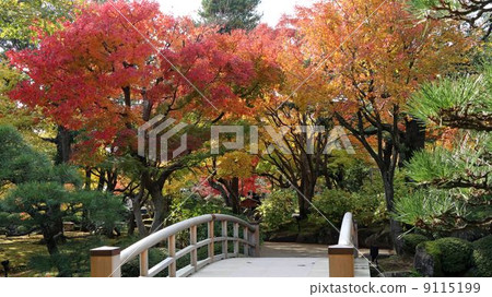 秋葉...... Yushien 秋葉...... Yushien 9115199