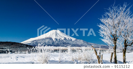 Fuji from Oshino Fuji from Oshino 9115212