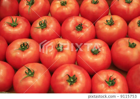 Tomato background Tomato background 9115753