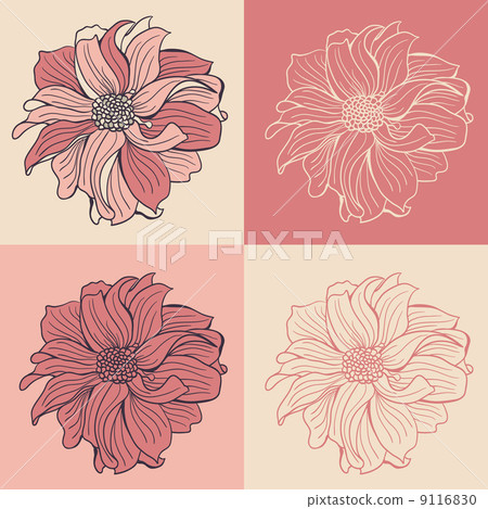 Hand-drawn flowers of dahlia Hand-drawn flowers of dahlia 9116830