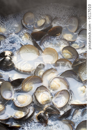 Clam soup Clam soup 9117010