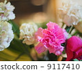 Carnation  9117410
