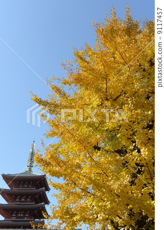 Sensoji temple Sensoji temple 9117457