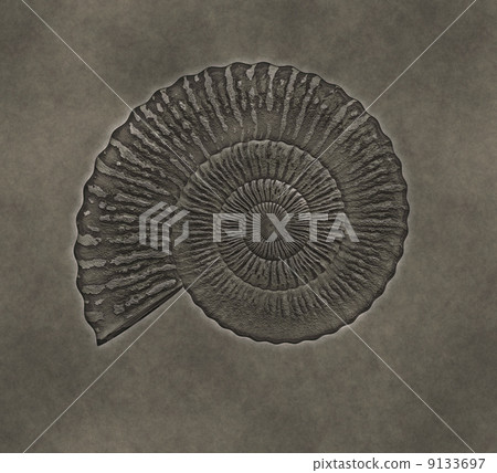 petrification - Stock Illustration [9133697] - PIXTA