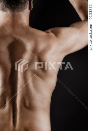 male back 9133883