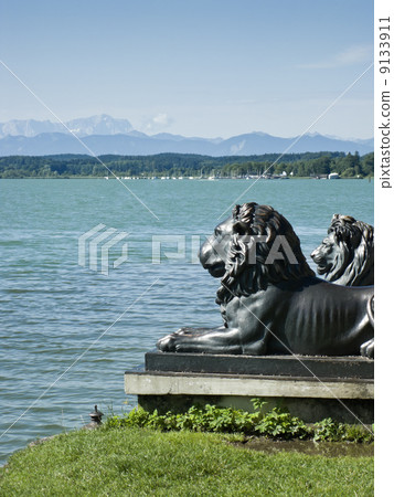 Lions at lake Starnberg Lions at lake Starnberg 9133911