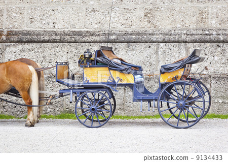 horse drawn carriage 9134433