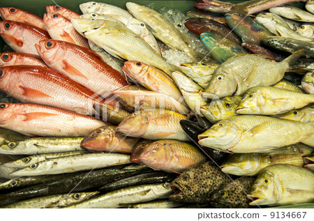 Fresh fish 9134667