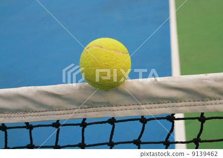 tennis ball on net tennis ball on net 9139462