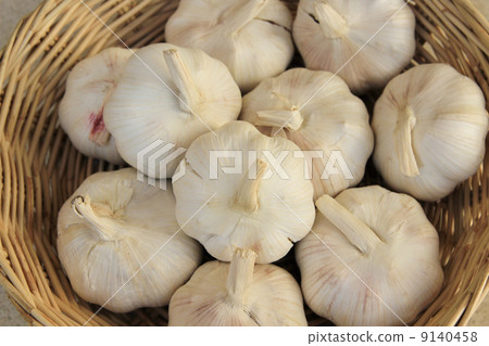 Garlic in basket Garlic in basket 9140458