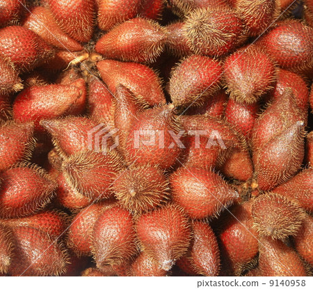 Zalacca tropical fruit 9140958