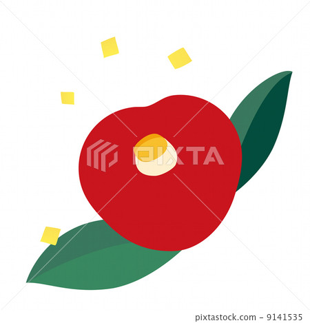 茶花 9141535