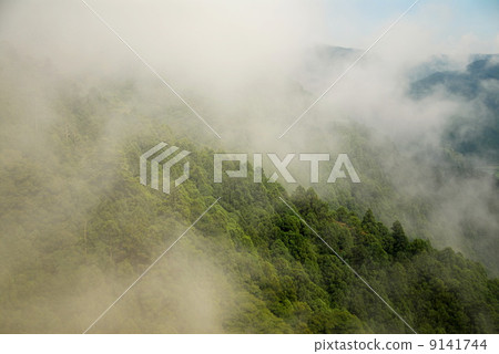 FutoshiRyutera 9141744