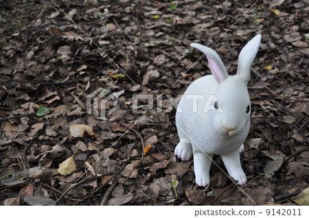 Dead leaves and rabbits Dead leaves and rabbits 9142011