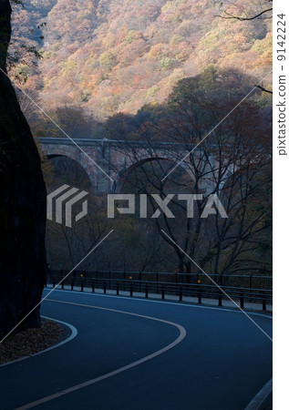 梅甘娜橋 9142224