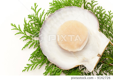 Shellfish with shell 9142726