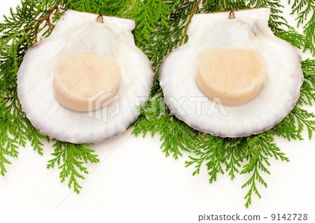Shellfish with shell 9142728