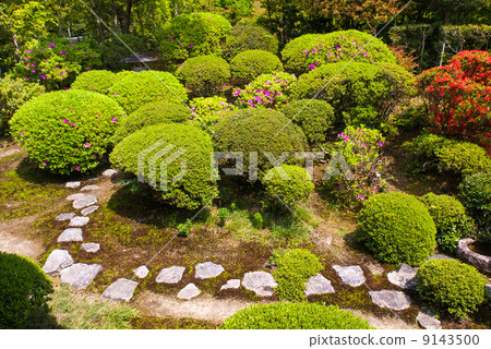 Anakura Seowon 9143500