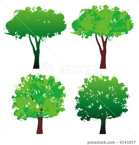 four trees four trees 9143857