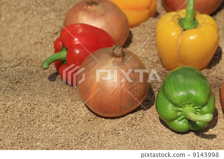 onion and paprika on sand  9143998