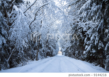 winter landscape with the forest and the road 9144218
