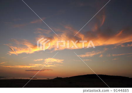 At Nakadashima sand dune (Shizuoka) 9144885
