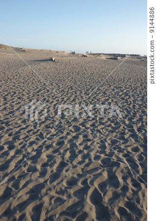 Nakadashima sand dune (Shizuoka) 9144886