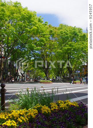 仙台禪寺 仙台禪寺 9145957