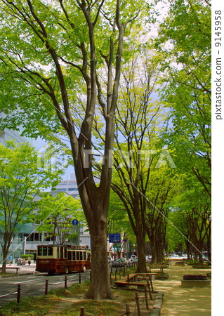 仙台禪寺 9145958