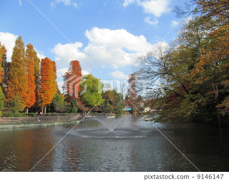 Inokashira公園在秋天池塘和噴泉 9146147