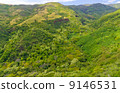 Hawaii Kauai Island Mediterranean landscape Aerial view of the ocean 9146531