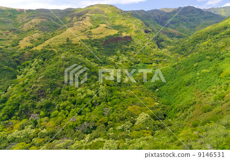 Hawaii Kauai Island Mediterranean landscape Aerial view of the ocean 9146531