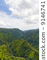 Hawaii Kauai Island Hanapepe Valley Aerial photograph 9146741