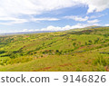 Hawaii Kauai Island Inland View Scenic Prairie 9146826