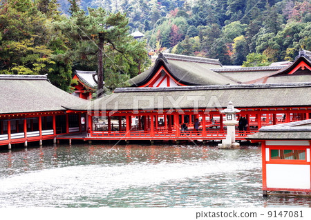 嚴島神社在漲潮時 9147081
