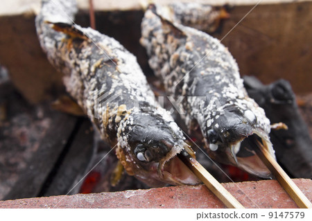 鹽烤虹鱒魚 鹽烤虹鱒魚 9147579