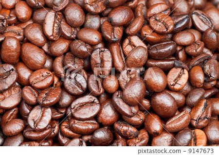 many light roasted coffee beans 9147673