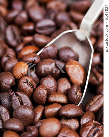 silver spoon scoops roasted coffee beans silver spoon scoops roasted coffee beans 9147824