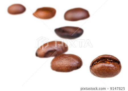 curve line pattern from roasted coffee beans curve line pattern from roasted coffee beans 9147825