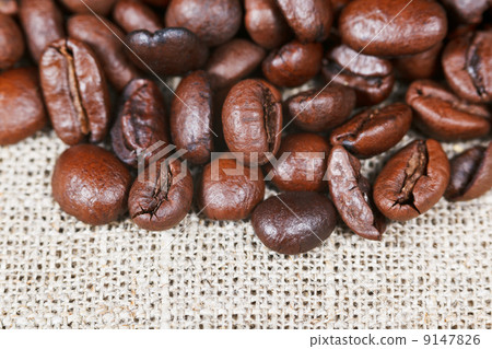 roasted coffee beans on bagging roasted coffee beans on bagging 9147826