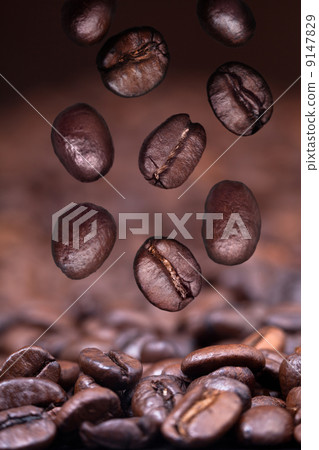 falling roasted coffee beans on coffee background falling roasted coffee beans on coffee background 9147829