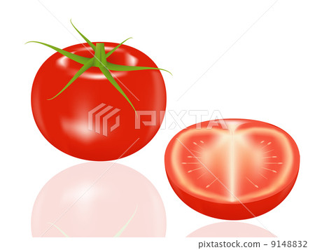 tomato 9148832