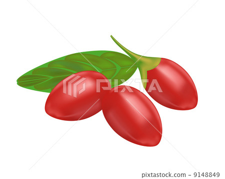 goji berry 9148849