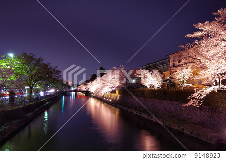Cherry trees at Kyoto · Okazaki canal at night Cherry trees at Kyoto · Okazaki canal at night 9148923