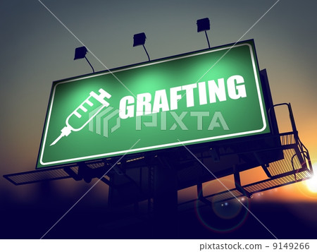 Grafting - Billboard on the Sunrise Background. 9149266